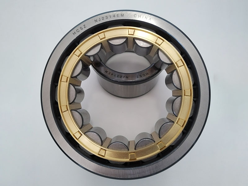 1688 Cylindrical Roller Bearing N Nn Nu Nj Nup NF Ncf Nncl Nncf 01